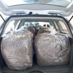 auto_voll_von_eiderdaunen