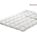 Betten-Stumpf Daunendecke Manufaktur 820