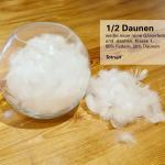 Lose Ware: 80% Federn / 20% Daunen