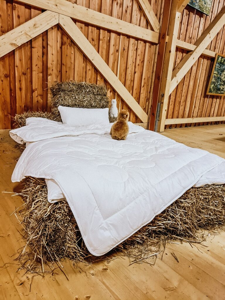 Golden Alpaca Decken